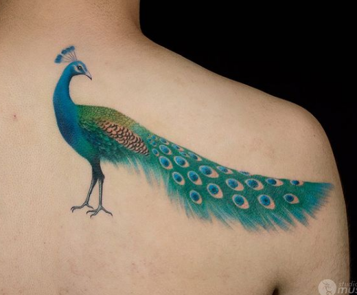 61. On My Back Is A Beautiful Peacock Tattoo