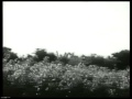 Video for komal gandhar