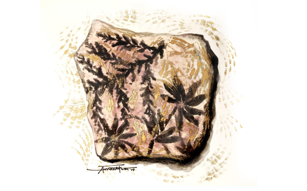 Paleobotany Image 