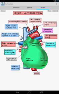 Download Anatomy Heart Lecture apk