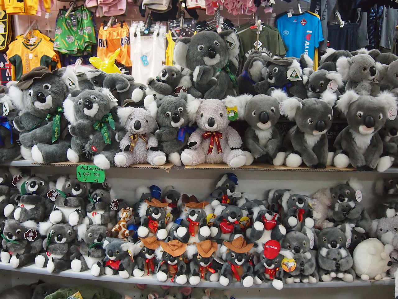 File:Koala souvenirs.JPG