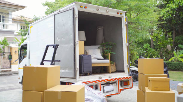 professional movers, local movers, wonderful job