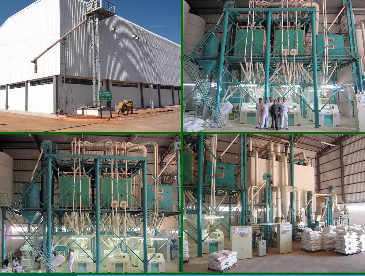 60T wheat flour mill in Brazil