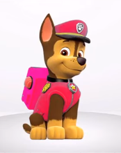 Learn Colors With Paw Patrol Rocky’s Uniform