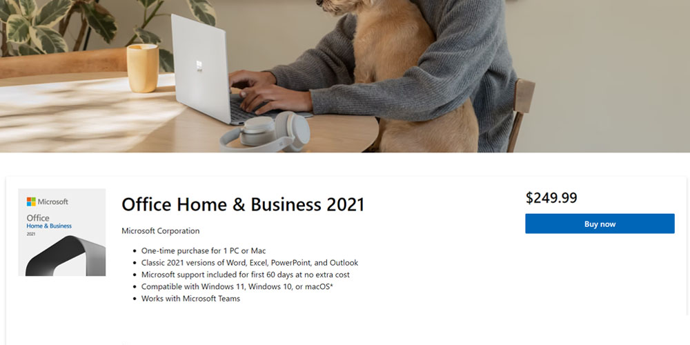 Office Home and Business 2021 Microsoft Store
