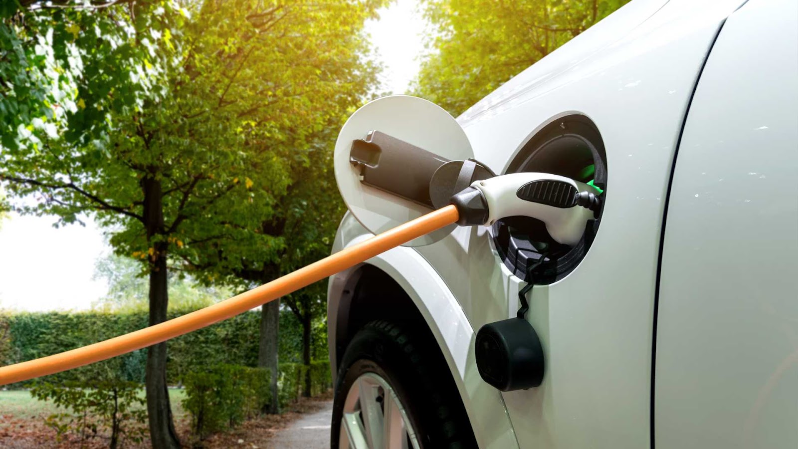 Why I Bought An Ev And Embrace Living Without A Car