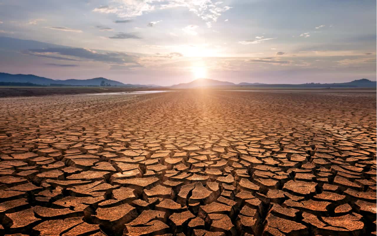 foto sul cambiamento climatico 2