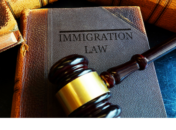 Immigrant Laws of India 