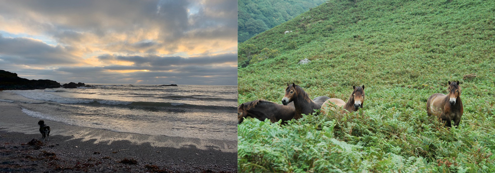 Explore the beautiful beaches or moorland on your valentines trip to Devon.