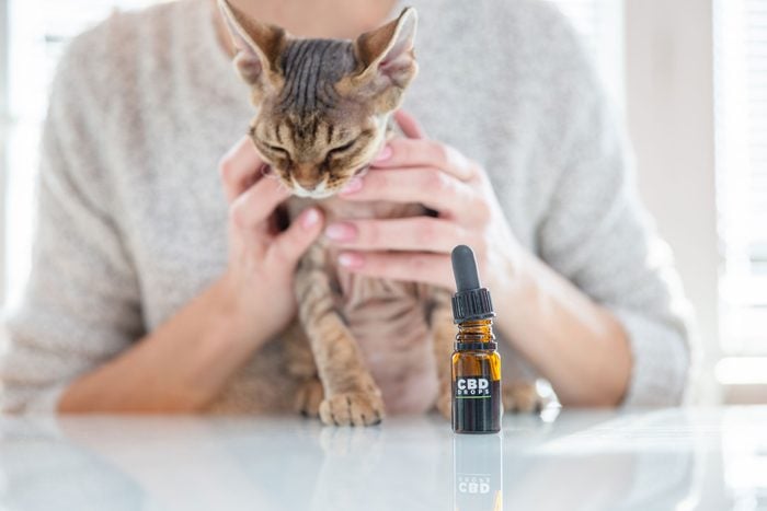 cbd oil for cats