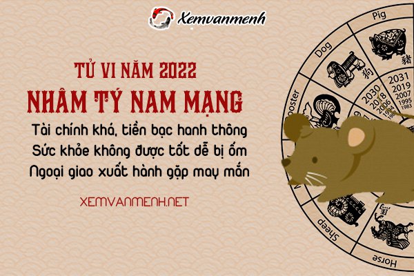 tu-vi-tuoi-nhâm-ty-nam-2022-nam-mang-1972