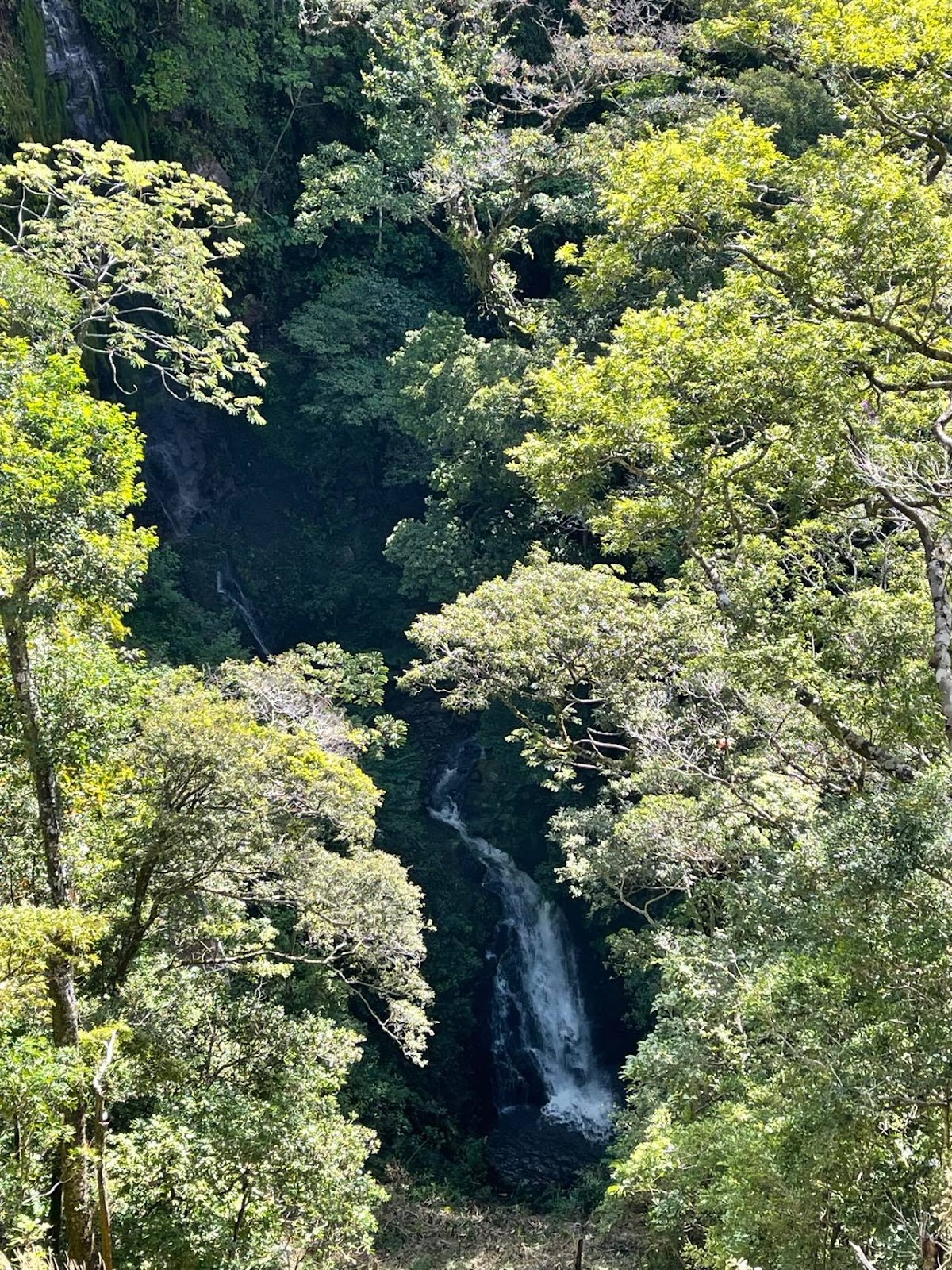 Waterfalls inside the Valle Escondido Reserve