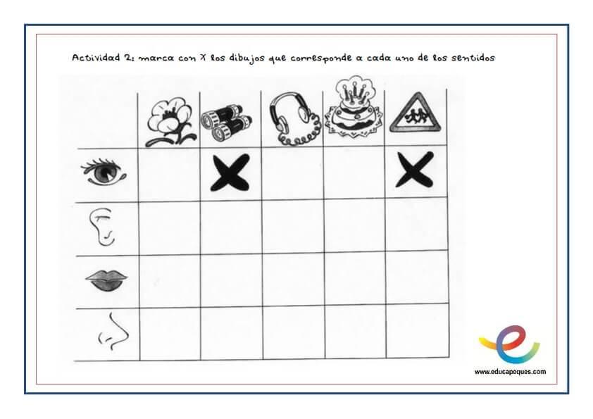 fichas cinco sentidos del cuerpo humano_002