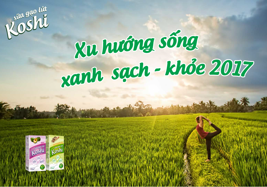 Gạo giống Nhật Koshihikari là gì?