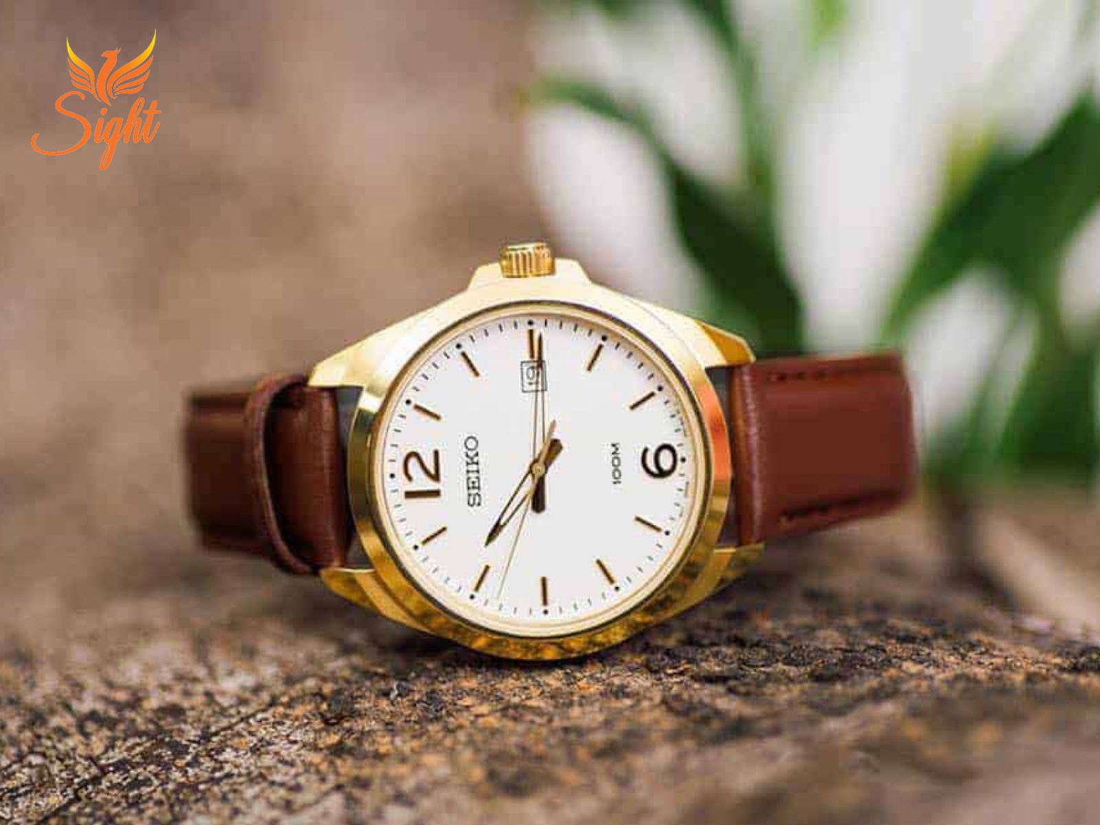 Đồng hồ cơ Seiko