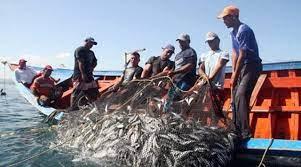 Mincomercio urge terminar acuerdo que prohíba subsidios a la pesca ilegal |  Agricultura &amp; Ganadería