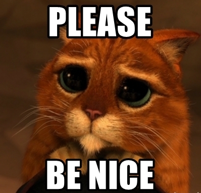Cat image saying please be nice