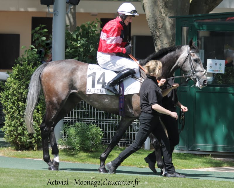 Photos Auteuil 7-06-2015 Journée Grande Course de Haies Rl2cA66UAYs4nK6_W365N1W1AX7INHyOfYjLZl6eeWcb=w800-h642-no