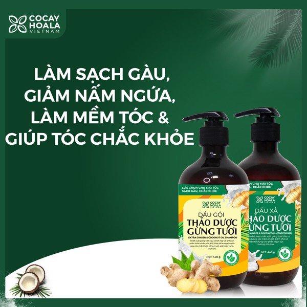 Dầu gội thảo dược gừng dừa cỏ cây hoa lá làm sạch gàu hiệu quả chỉ sau 7 ngày sử dụng