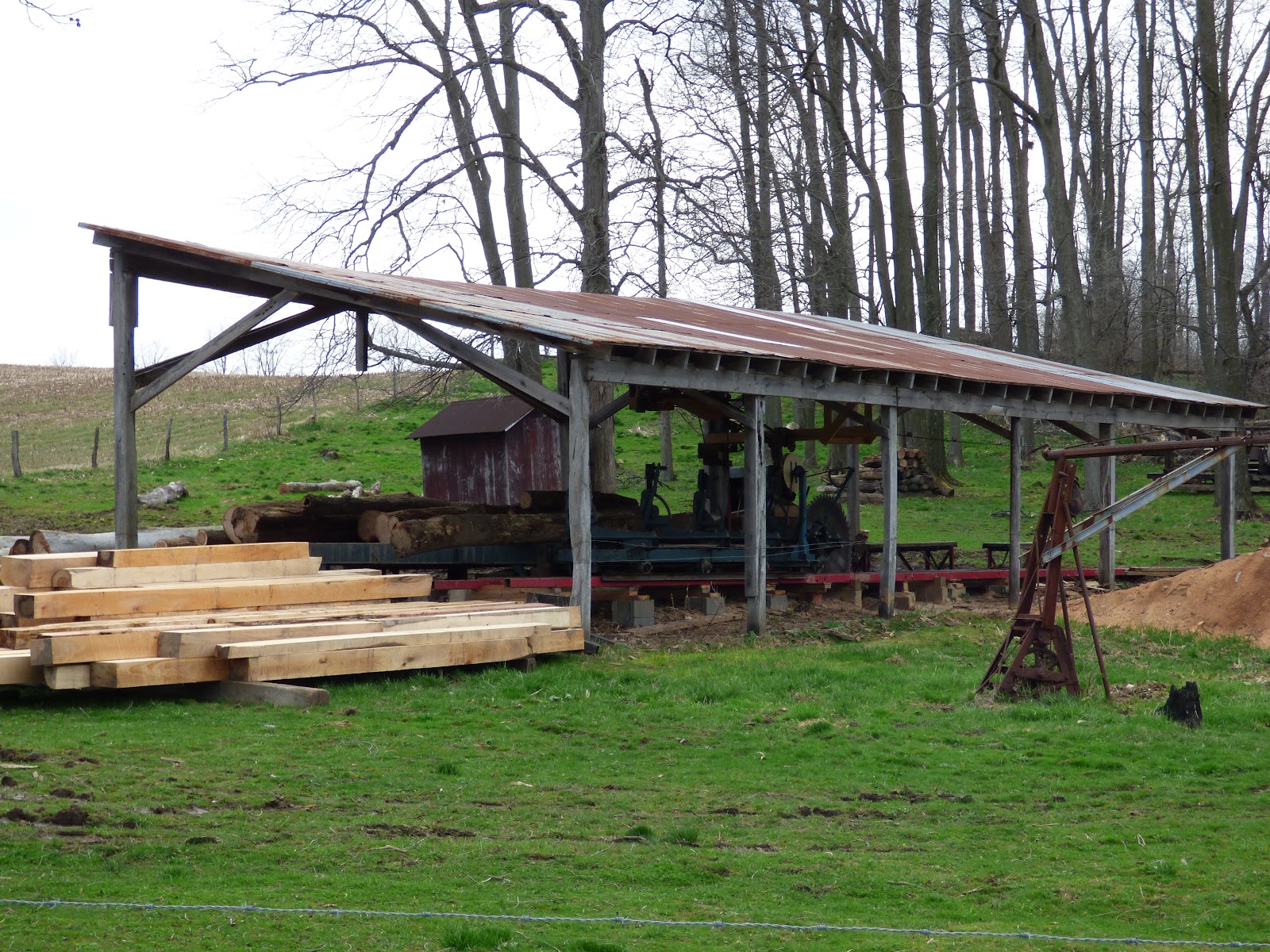 P1000233.JPG
