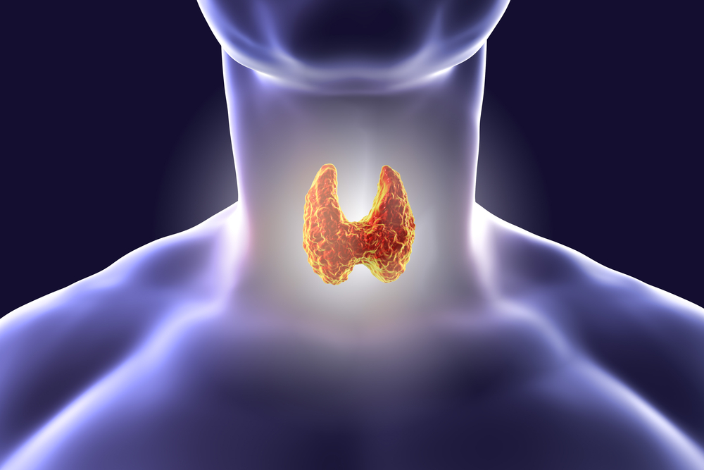 Thyroid