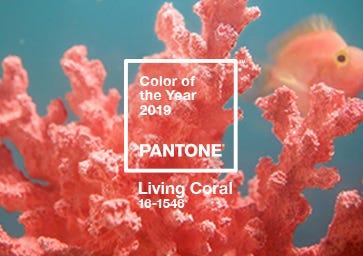 Color of the Year 2019: PANTONE 16-1546 Living Coral