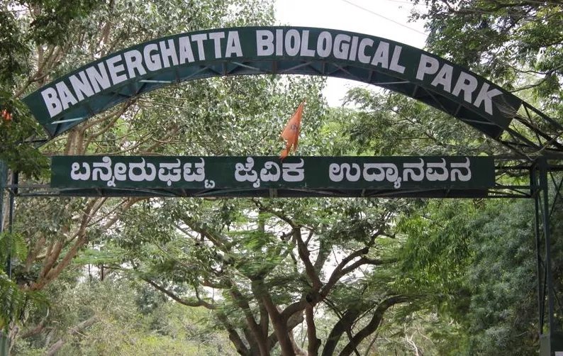 Bannerghatta National Park-best apartments in India