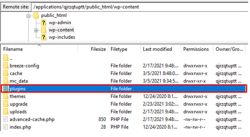 How to Fix a 403 Forbidden NGINX Error? 9 Easy Methods