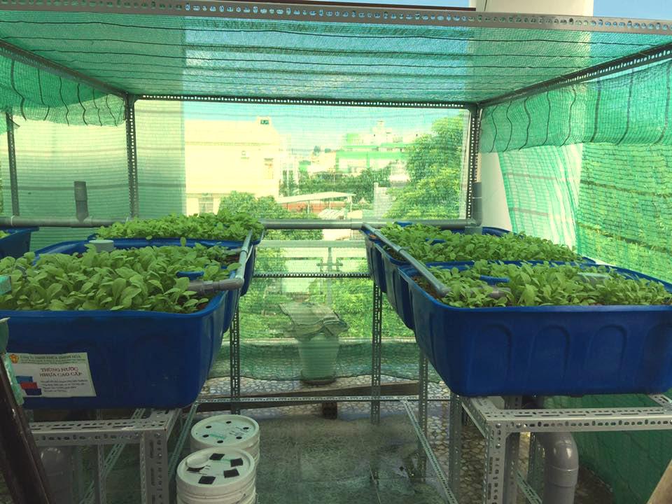 HÃ¬nh áº£nh cÃ³ liÃªn quan