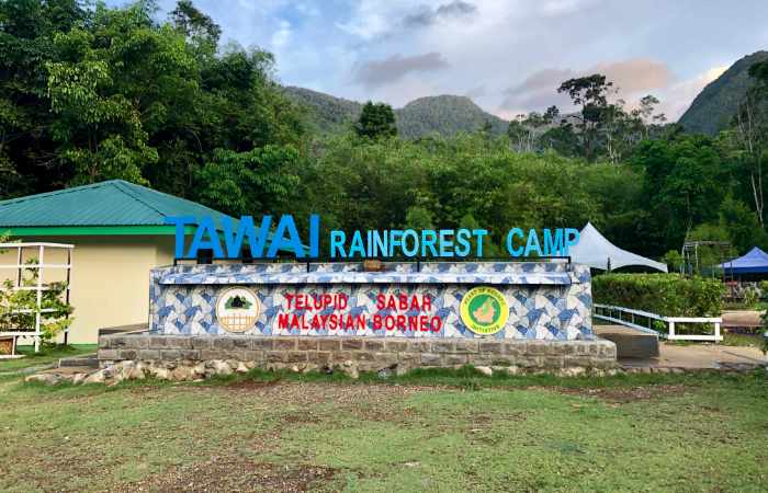tawai rainforest camp