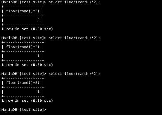 SQL Injection by Double Query | Securium Solutions 2