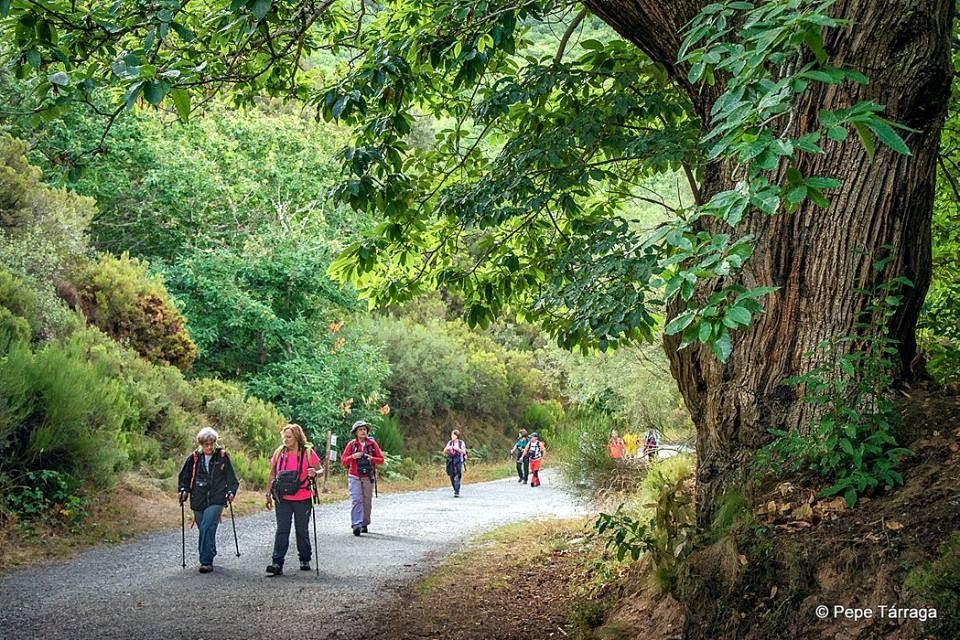 La imagen puede contener: una o varias personas, personas montando en bicicleta, Ã¡rbol, planta, exterior y naturaleza