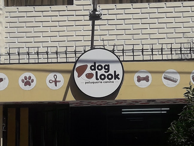 Opiniones de Dog Look en Yanahuara - Veterinario