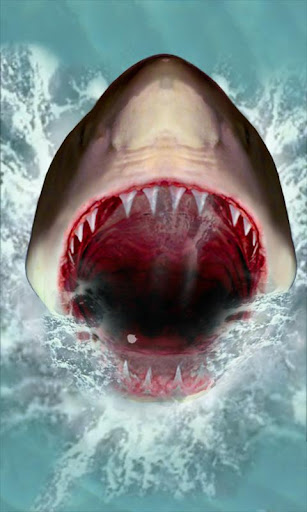 Shark Attack Live Wallpaper apk