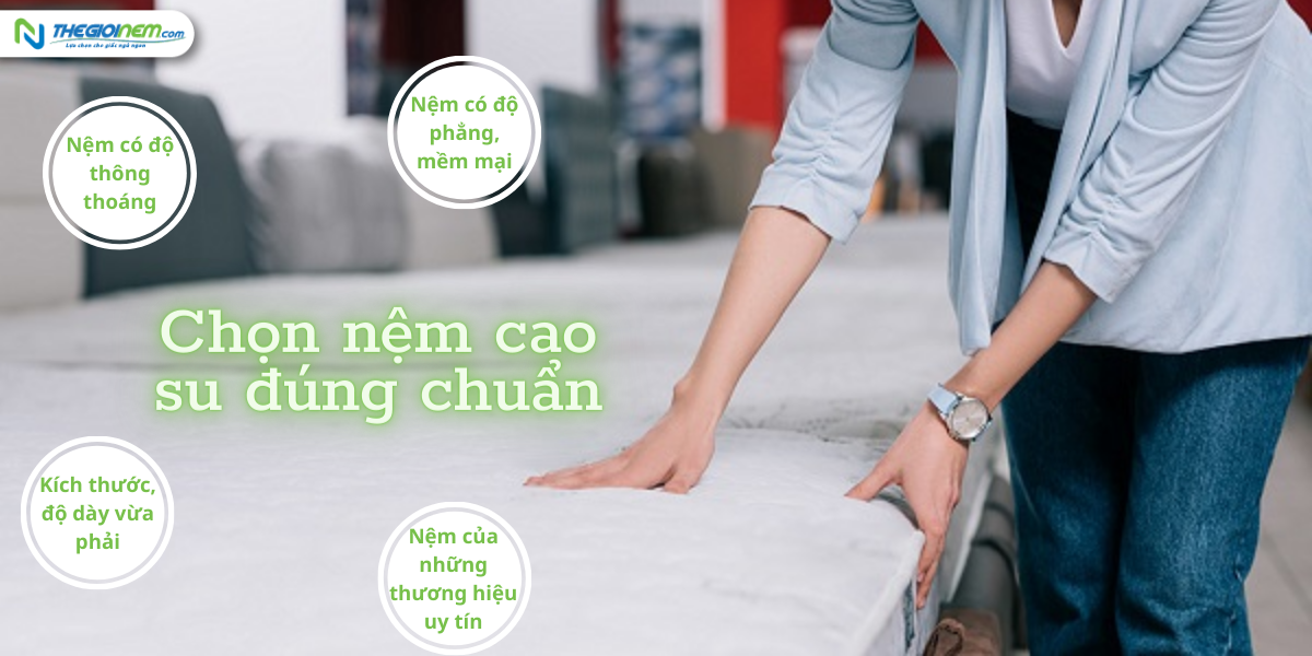 Cửa hàng bán nệm lò xo giá rẻ tại quận Phú Nhuận