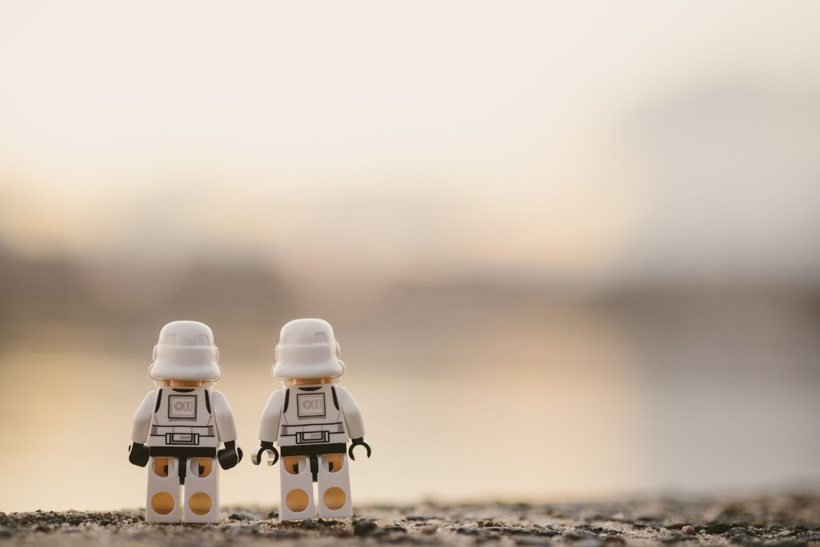 Two Lego figures facing away from the camera.