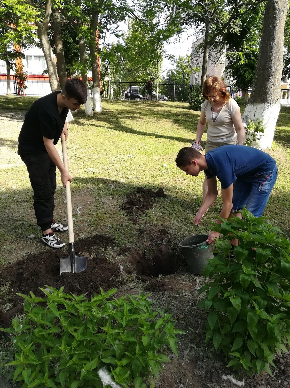 C:\Users\Admin\Desktop\на сайт\дерева\IMG_20190529_082604.jpg