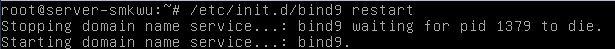 restart bind9.JPG