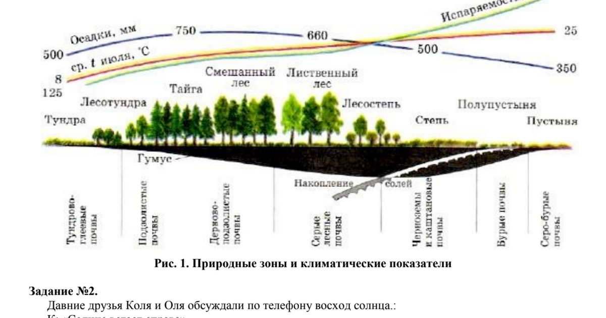 Природные зоны по степени плодородия. Зональные типы почв с севера на Юг. Закономерности распространения типов почв. Основные типы почв России зональность таблица. Типы почв России с севера на Юг.