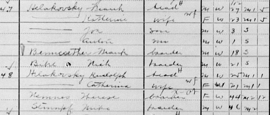 handwritten census entry with last entry shown as Stumpf Mike