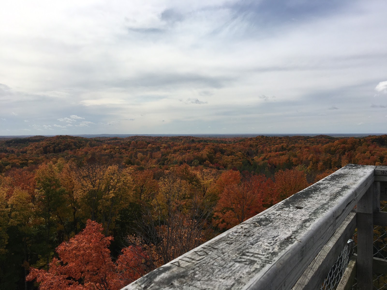 Fall colors in Price County