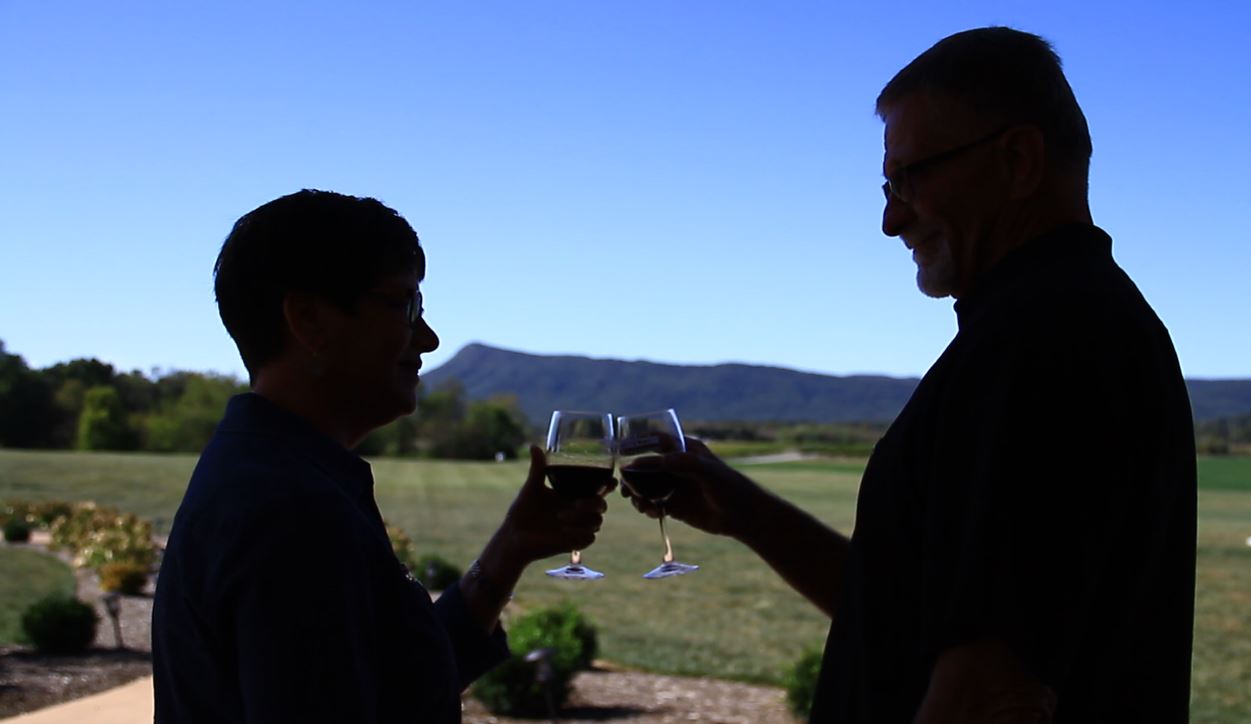 Shenandoah Valley Vineyards With Views