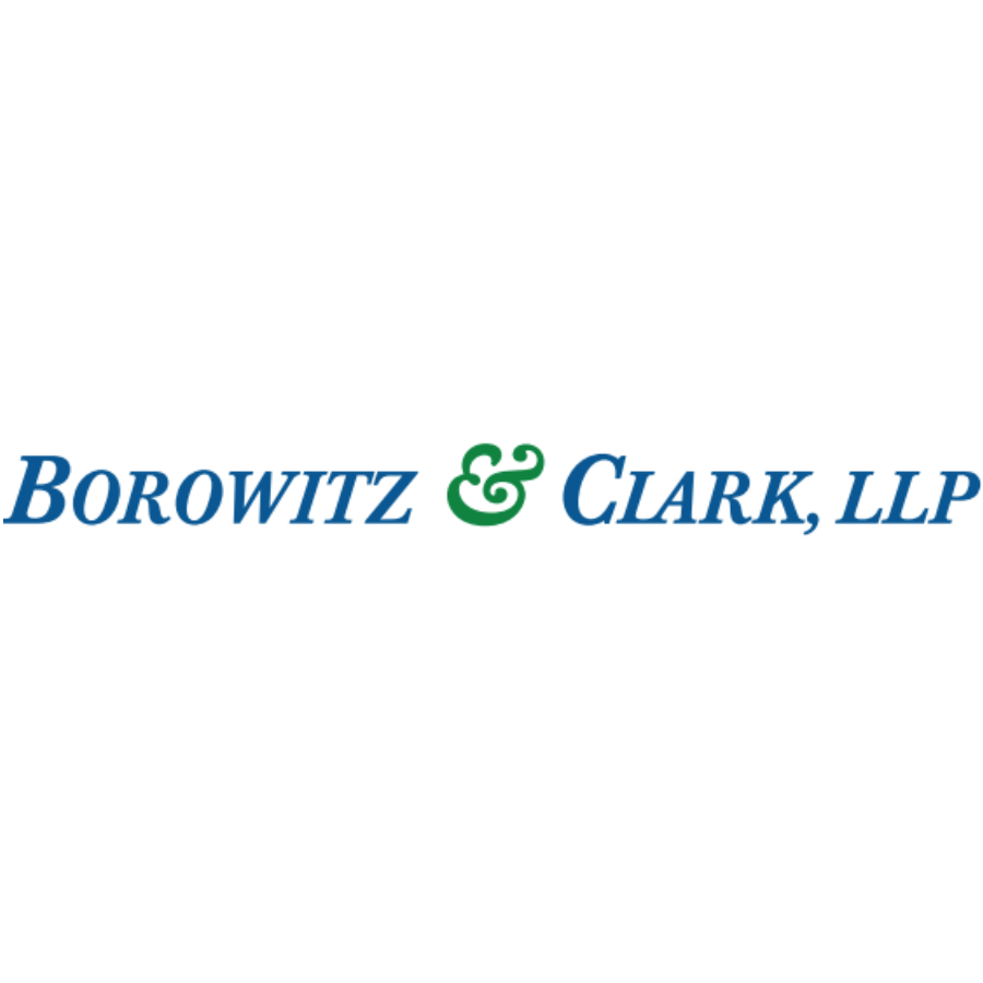 Borowitz & Clark Law Firm, Friday, January 8, 2021, Press release picture