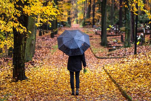 A picture containing umbrella, outdoor, tree, grass

Description automatically generated