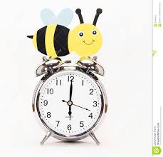 Image result for bee time