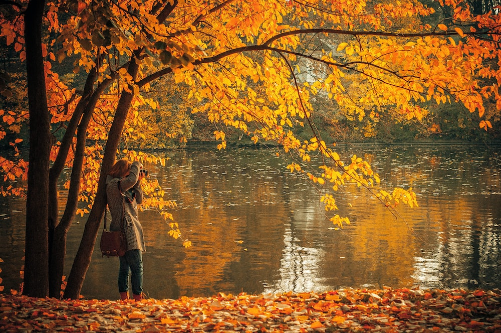 Feel the September!