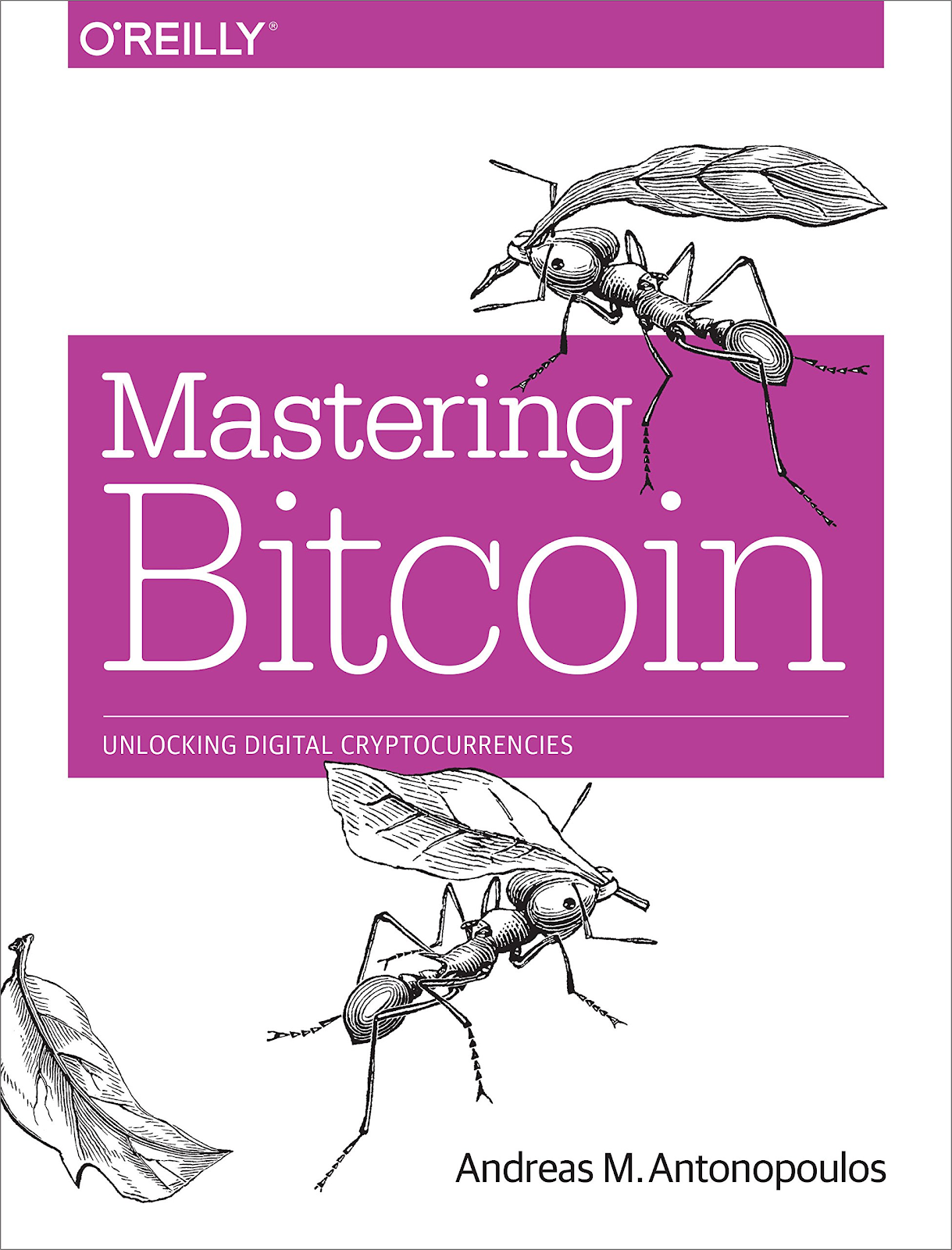 Mastering Bitcoin 