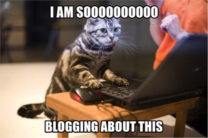 Cat Blogging Meme