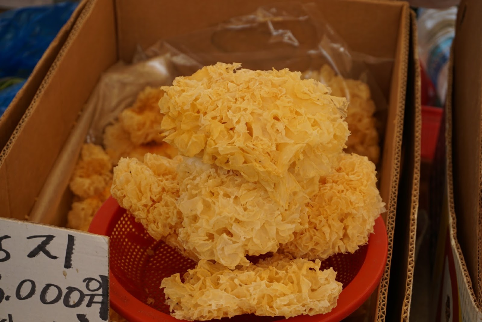 DSC03077.JPG