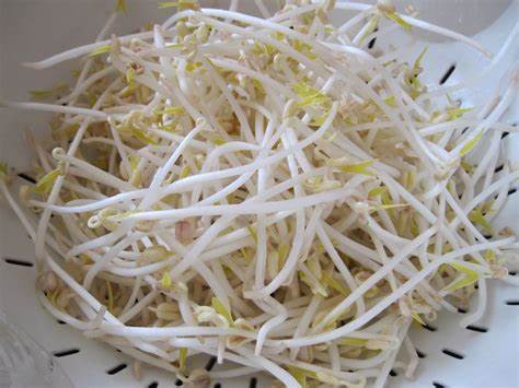 chữa trị yếu sinh lý dân gian bằng giá đỗ